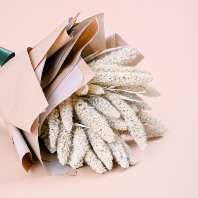 Ramo Setaria Verde Menta