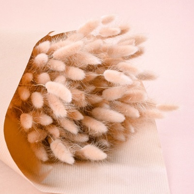 Ramo Lagurus Natural