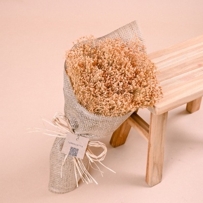 Ramo Broom Coral Misty