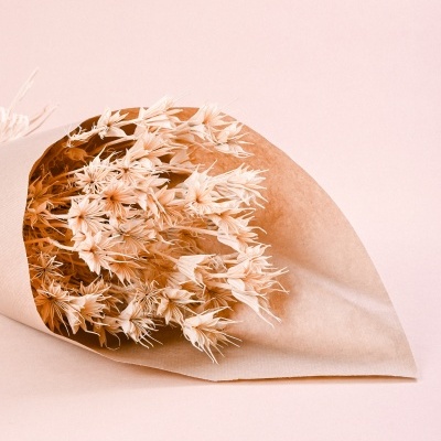 Ramo Nigella Orientalis Branca