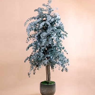 Árvore Natural Preservada Ref. 001