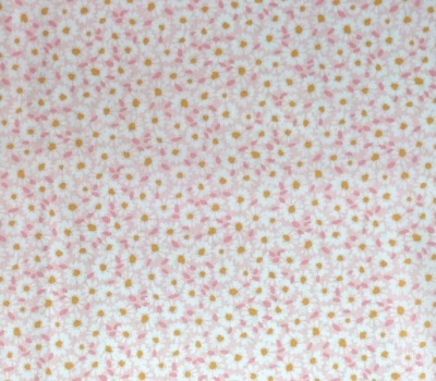 Malmequeres fundo colorido