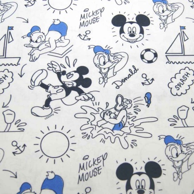 Mickey e Donald disney 8