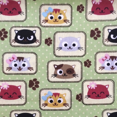 Gatinhos fundo verde