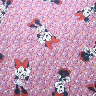 Minnie com flores disney 2