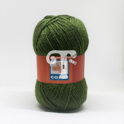 Cor 237 - Lã Coral Verde Pinho