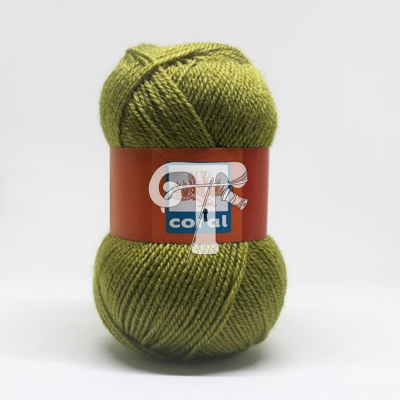 Cor 235 - Lã Coral Verde Seco