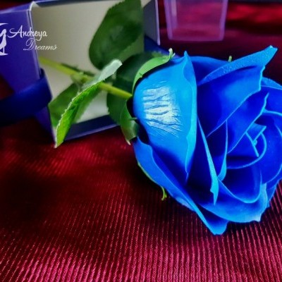 https://www.andreyadreams.com/product/rosa-de-sabao-cor-azul-lsf-25