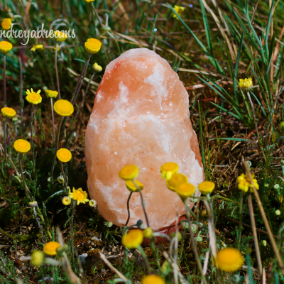 Candeeiro Pedra de Sal dos Himalaias 1,5Kg a 2Kg Candeeiro Pedra de Sal dos Himalaias 1,5Kg a 2Kg