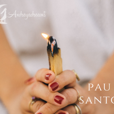 Pau Santo Pau Santo
