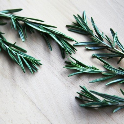 ramos frescos de alecrim verde sobre superfície de madeira clara