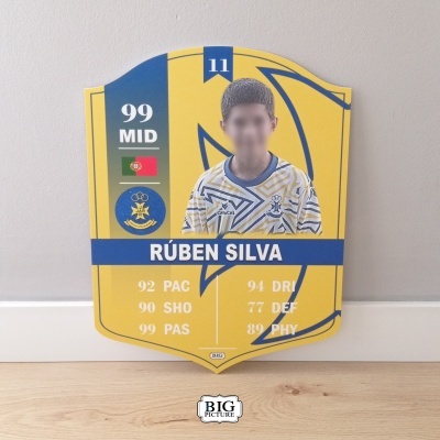 Quadro estilo FIFA - Personalizado