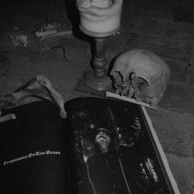 Haallicht #1 -  Book