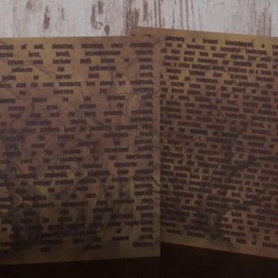 FEN – The Malediction Fields   (DLP copper with bonustracks)