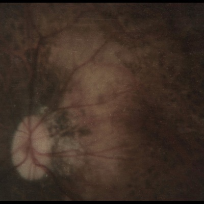 PALE SPEKTRE - Bereft of Xerotic Layers (Digi CD)