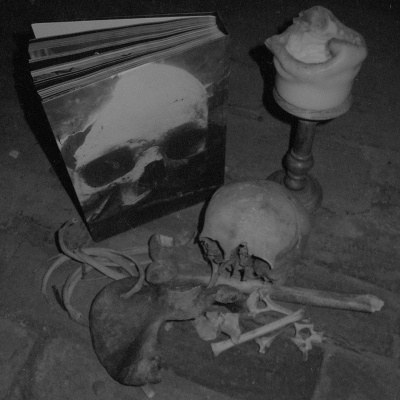 Haallicht #1 -  Book