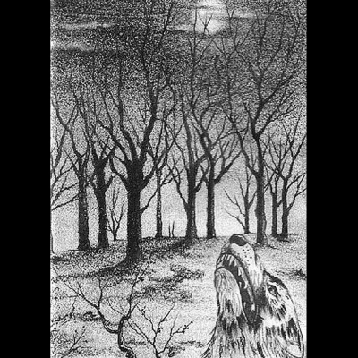 LUPUS NOCTURNUS – Suicidal thoughts PT I    (CD in DVD case)