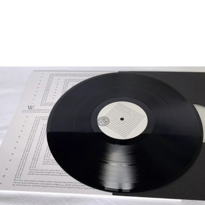 VERBERIS - The Apophatic Wilderness LP