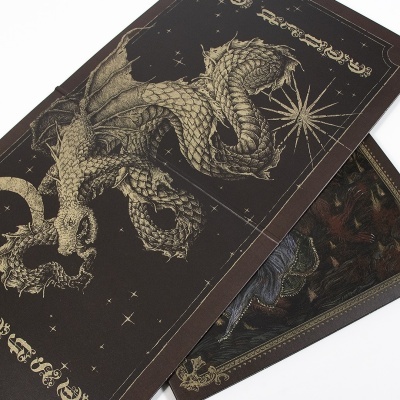 dois posters de dragões com arte detalhada