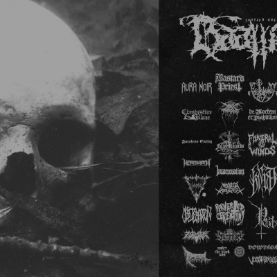 Haallicht #1 -  Book