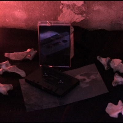 Fita cassete preta na caixa transparente com ossos brancos ao redor