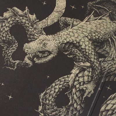 Ilustração vintage de dragão em tons sépia com fundo preto estrelado