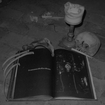 Haallicht #1 -  Book