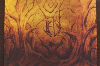 FEN – The Malediction Fields   (DLP copper with bonustracks)