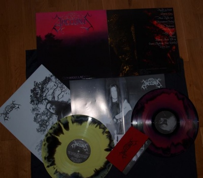 ARCTURUS – Contellation (12'' LP) Black