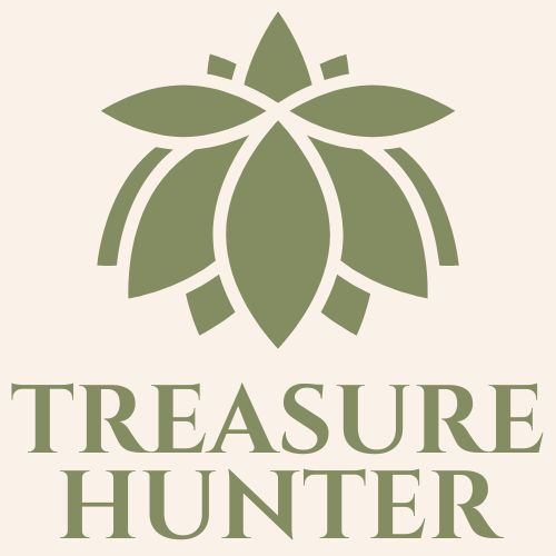 The Treasure Hunter store