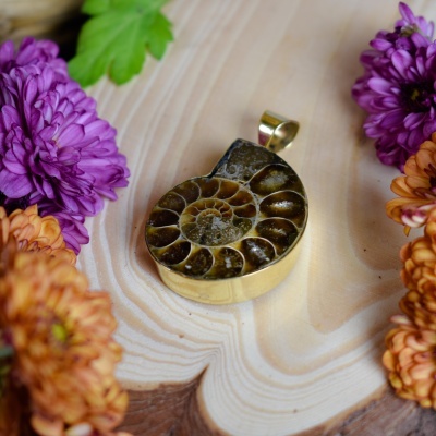 Colar com pendente de concha fóssil e moldura dourada rodeado de flores coloridas