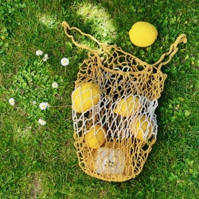Saco de rede com limões na relva e flores pequenas