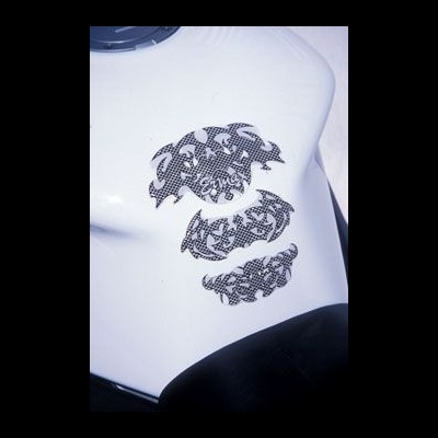 PROTEÇÃO DE DEPÓSITO ERMAX LOOK CARBONO