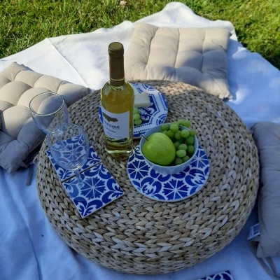 Ceramic Trivet , hand painted, portuguese tiles, 04