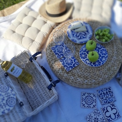 Mesa de piquenique com loiça azul e branca, almofadas e cesto de vime