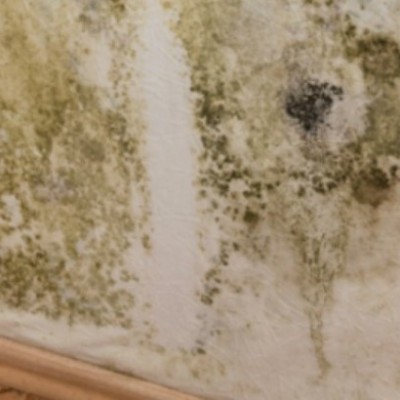 Plaf&#x20;Pintura&#x20;branco&#x20;perfeito,&#x20;&#x20;com&#x20;aditivo&#x20;Anti-fungos&#x20;15&#x20;e&#x20;4&#x20;LT