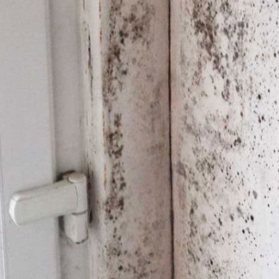 Salitrex&#x20;&#x7C;&#x20;Revestimento&#x20;Anti-humidade&#x20;Branco&#x20;de&#x20;base&#x20;pliolite&#x20;0.75&#x20;-&#x20;4&#x20;e&#x20;15&#x20;litros