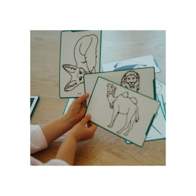 KIDYWOLF TABLET DE DESENHO - ANIMAIS SELVAGENS