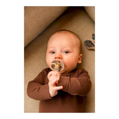 CHUPETAS BIBS EDIÇÃO ESPECIAL LIBERTY - PACK 2 CHUPETAS Chamomile Lawn Vanilla/Woodchuck