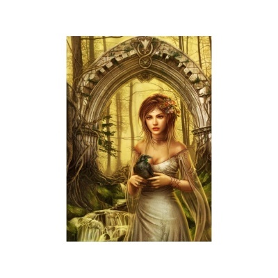 Puzzle Bluebird 1500  Gate of Destinies 70428