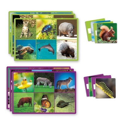 Jogo Loto 72 Animais 20526 +3 anos Akros