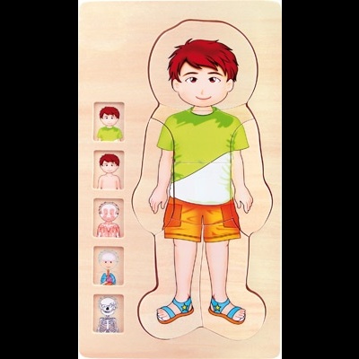 Puzzle Camadas Madeira Anatomia Menino 28pcs +3 anos 5842 Small Foot