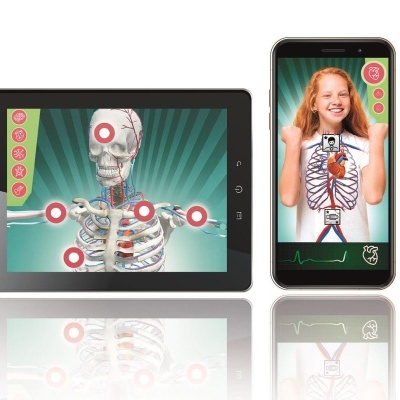 Super Anatomia - Como Somos Feitos? 67788 +8 anos