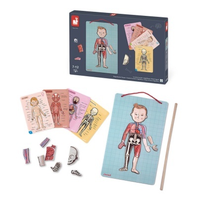 Corpo Humano Magnetic J05491 +7 anos Janod