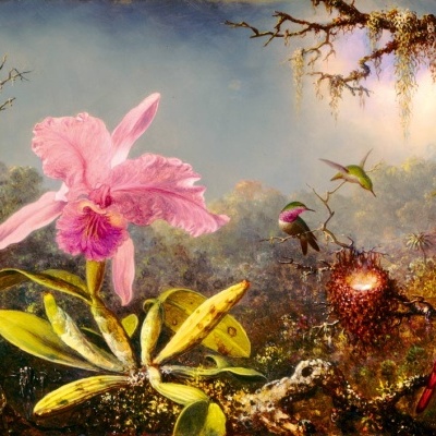 Puzzle Bluebird 1000 Martin Johnson Heade - Cattleya Orchid and Three Hummingbirds, 1871 60097