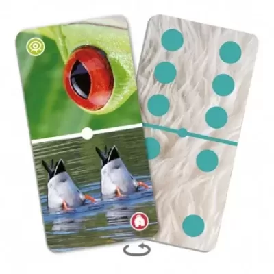 Dominó Natudomono o Zoo dos Animais 20827