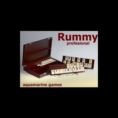 Jogo Rummi Profiossional p/6 Jogadores CP009 +7 anos Aquamarine Games