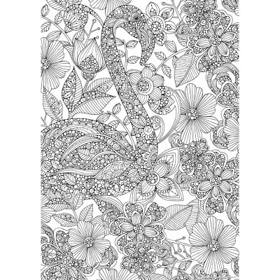 Puzzle Educa 300 Flamenco Colouring Puzzl 18474