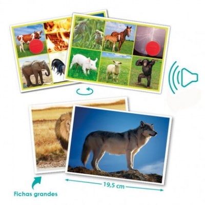 Fichas grandes com fotos de animais selvagens e domésticos em fundo colorido