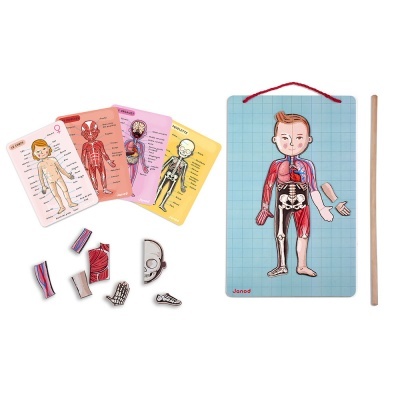 Corpo Humano Magnetic J05491 +7 anos Janod